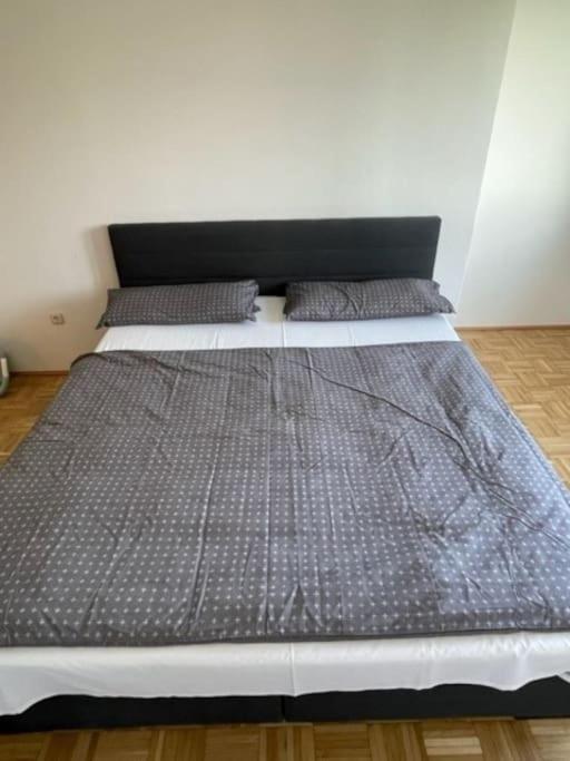 City Appartement 4600 Wels Zewnętrze zdjęcie